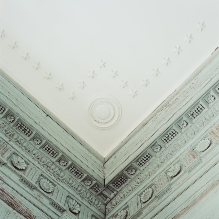 Ornate ceiling with hand-crafted plaster details including decorative molding and relief work.