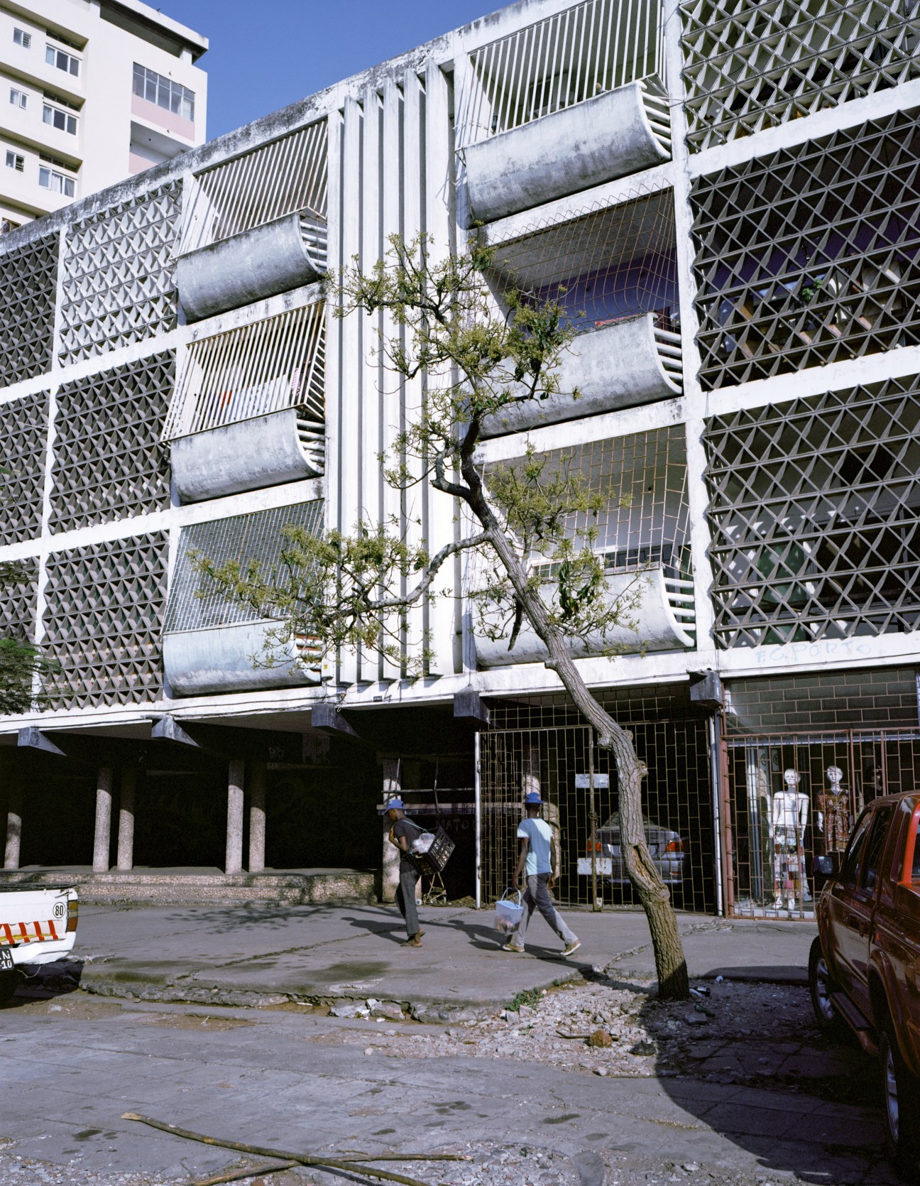 Modernist apartment building with geometric patterned concrete screens and horizontal cylindrical elements, featuring a gnarled tree in front.