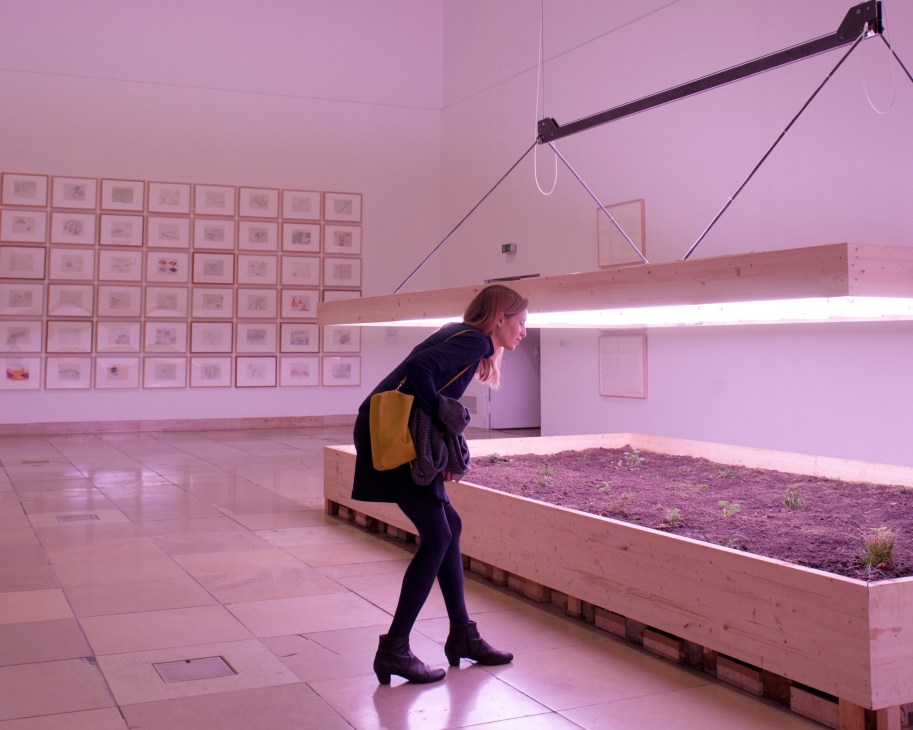 Visitor viewing land art exhibition with planted bed and framed artworks in pink-lit gallery space.