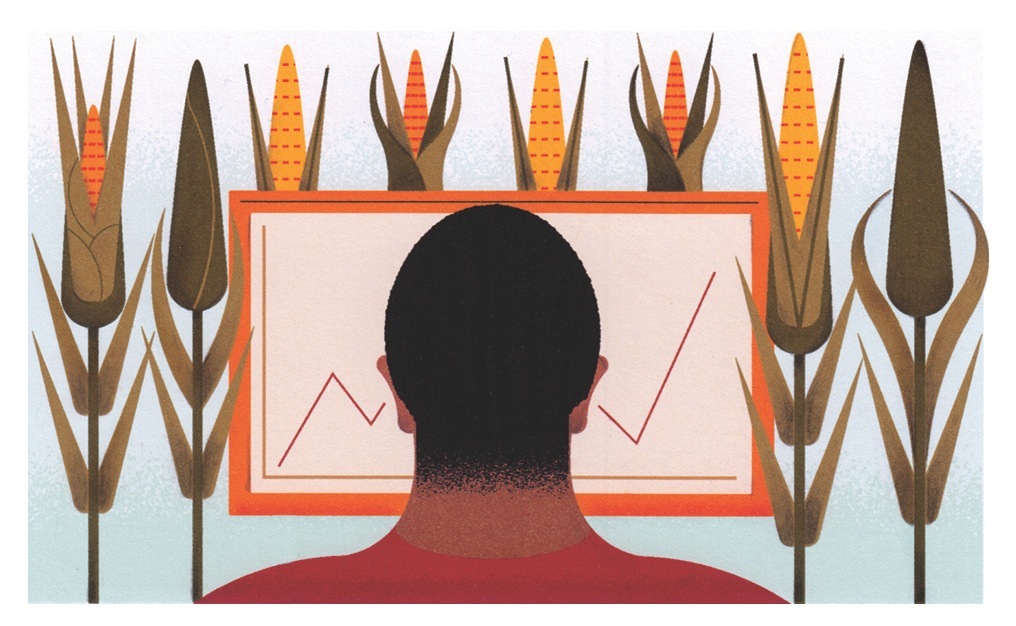 Illustration of a silhouetted figure viewing a price chart surrounded by stylized grain stalks.