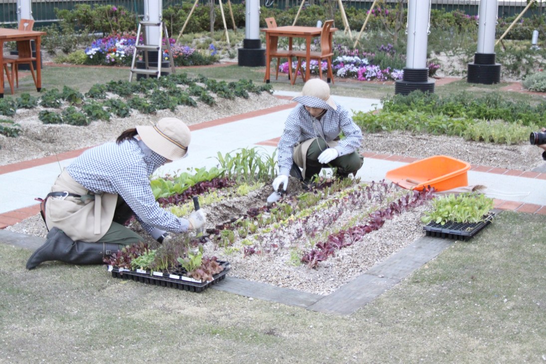 Two people in hats tending vegetable patches on a rooftop farm with flowers and buildings visible in background.