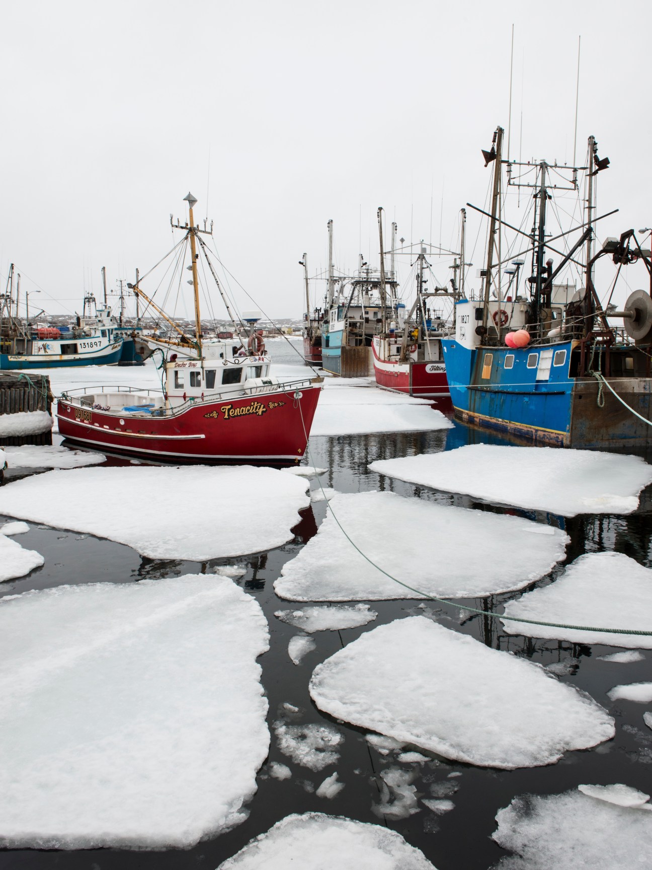Fishing boats moored in a harbor surrounded by broken pack ice in winter.