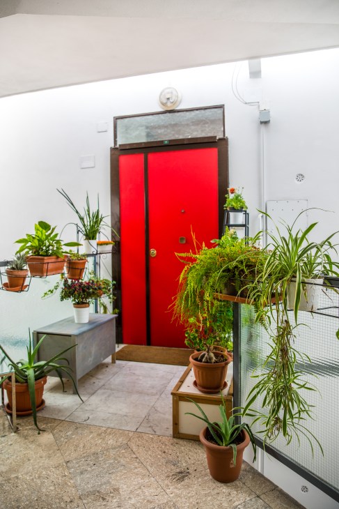 Red door entrance to a modernist apartment building with potted plants lining the doorway.
