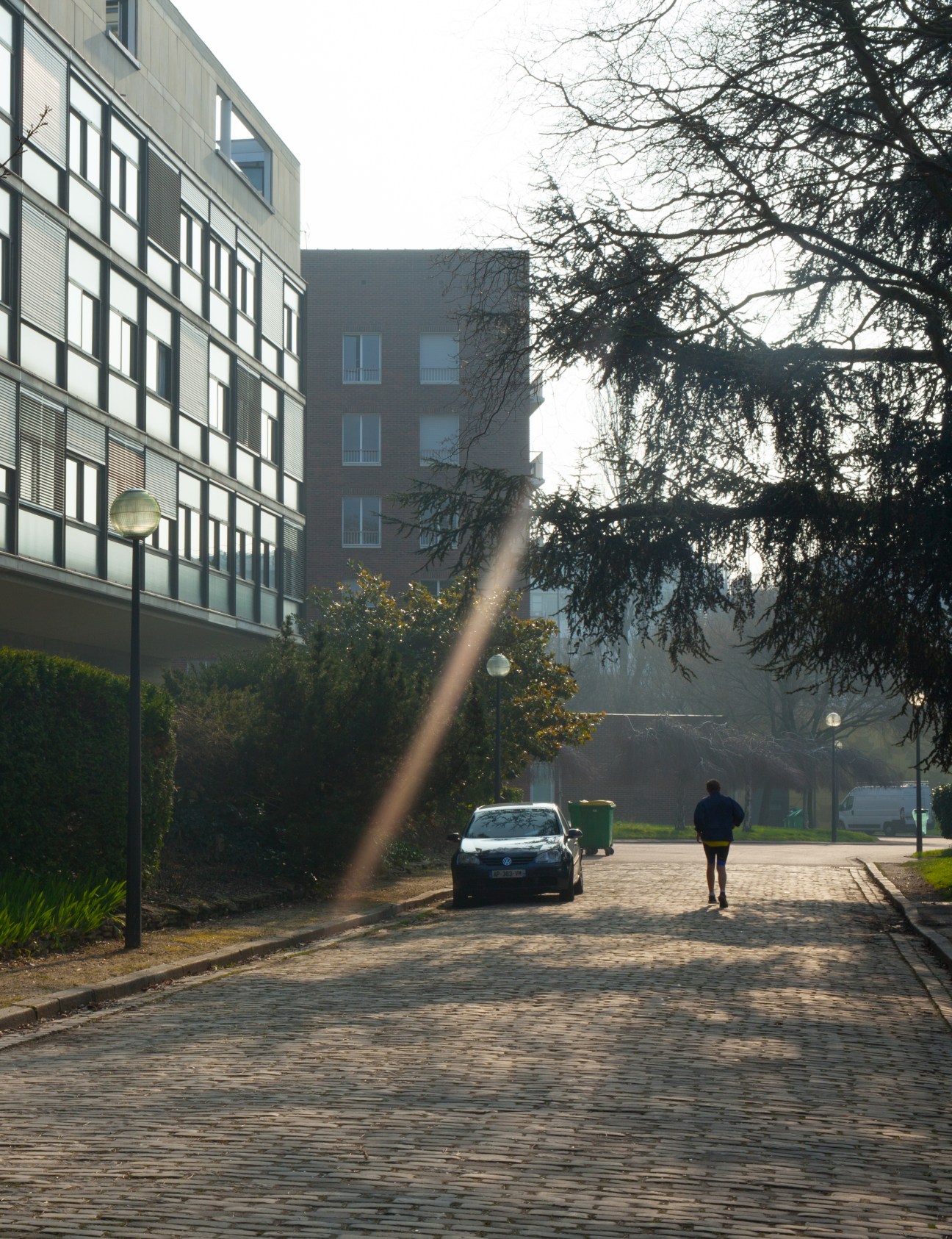 A tree-lined avenue at Cité Internationale Universitaire with modern residential buildings, a parked car, and a jogger on a brick pathway.