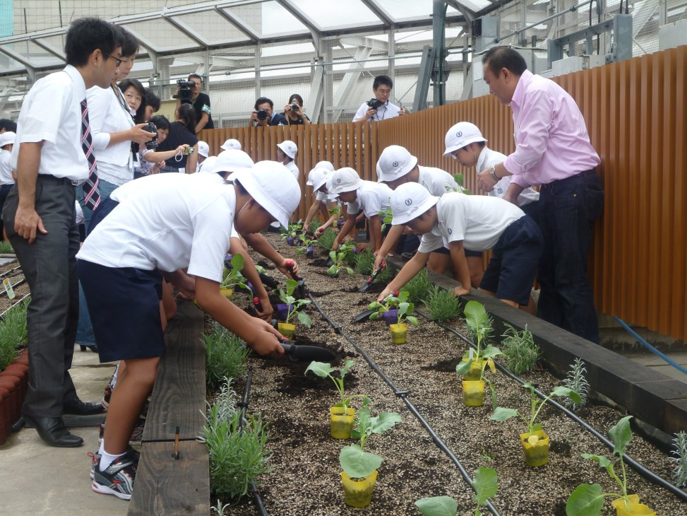 People in white hard hats tend to plants in a rooftop garden under a glass structure during the Ginza Honey Bee Project.
