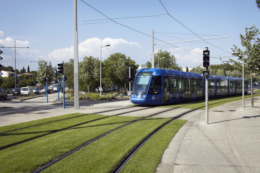 A blue modern tram travels on tracks through a sunny street in Montpellier with green grass alongside.