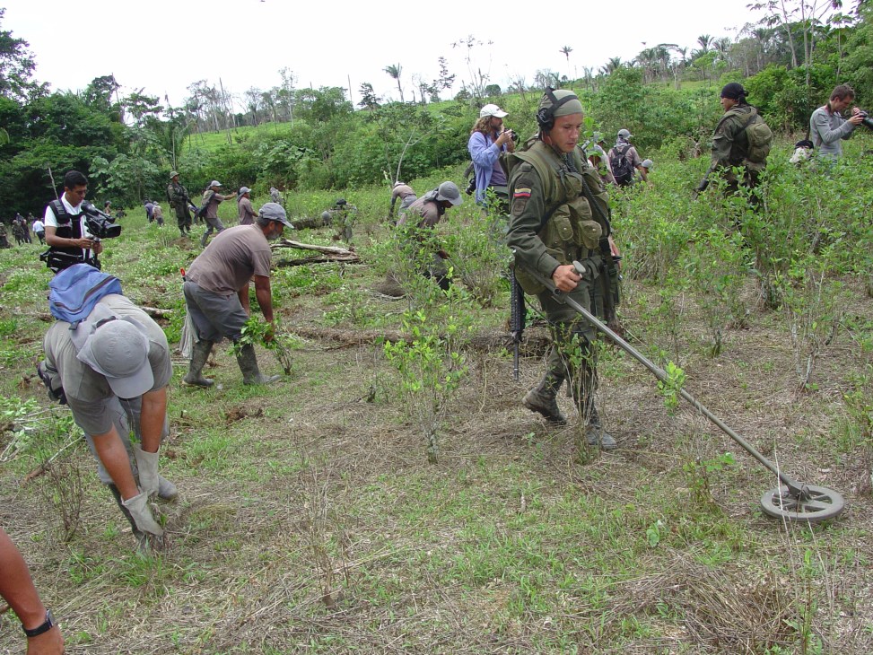 Colombian military personnel and civilians conducting a demining operation in a jungle clearing.