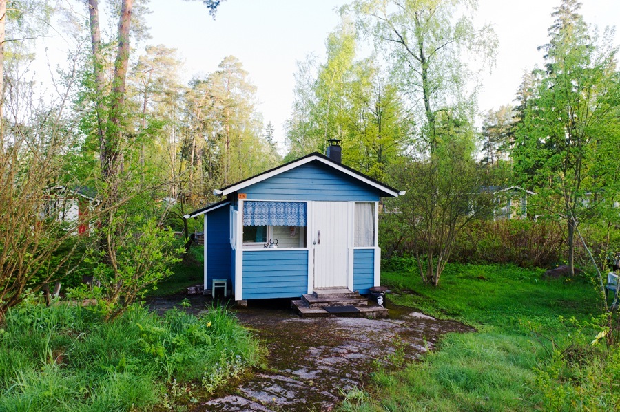 Blue and white summer cottage surrounded by birch trees and green vegetation in Finland