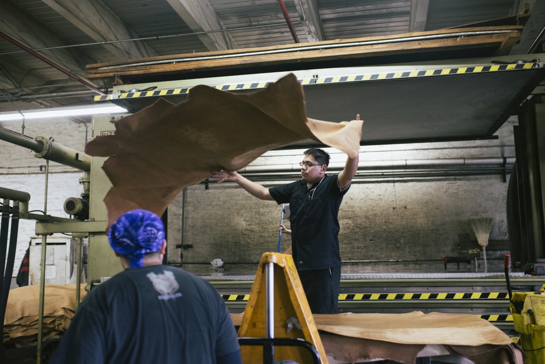 Worker holding dried hide in Horween Leather tannery factory