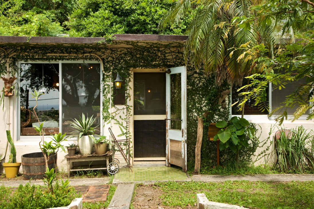 Exterior of Ploughman's Lunch Bakery with ivy-covered concrete walls and large windows.