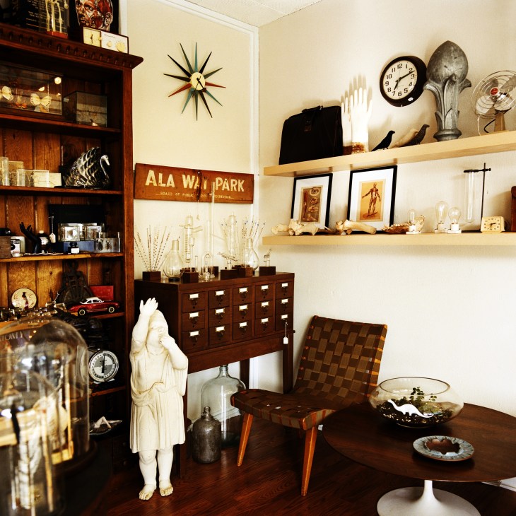 Interior of Hound & Quail curiosity shop in Honolulu displaying mid-century furniture, antiques, and collectibles on wooden shelves and cabinets.