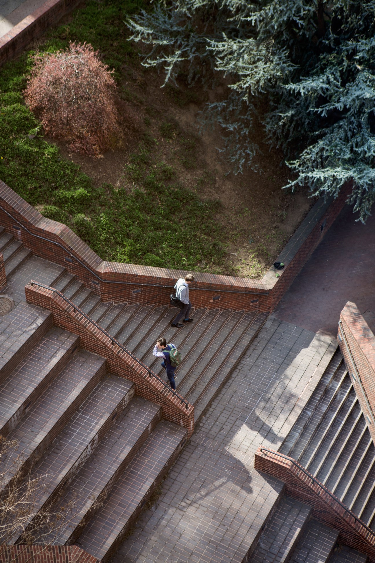 Aerial view of two people walking on brick steps surrounded by landscaped greenery and evergreen trees.
