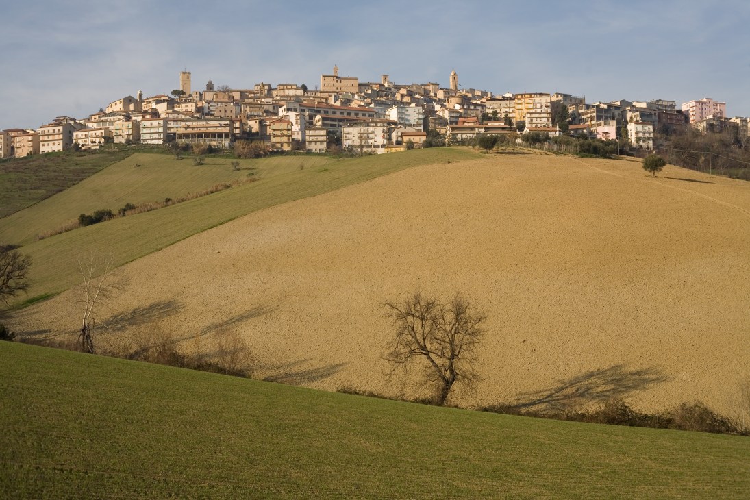 Medieval hilltop town of Montegranaro with golden-stone buildings rising above rolling agricultural fields in Italy's Marche region.