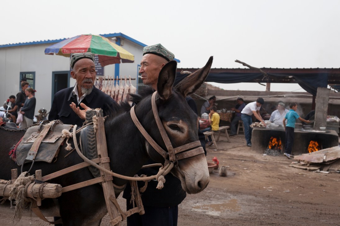 Uyghur man with donkey at Kashgar Livestock Market