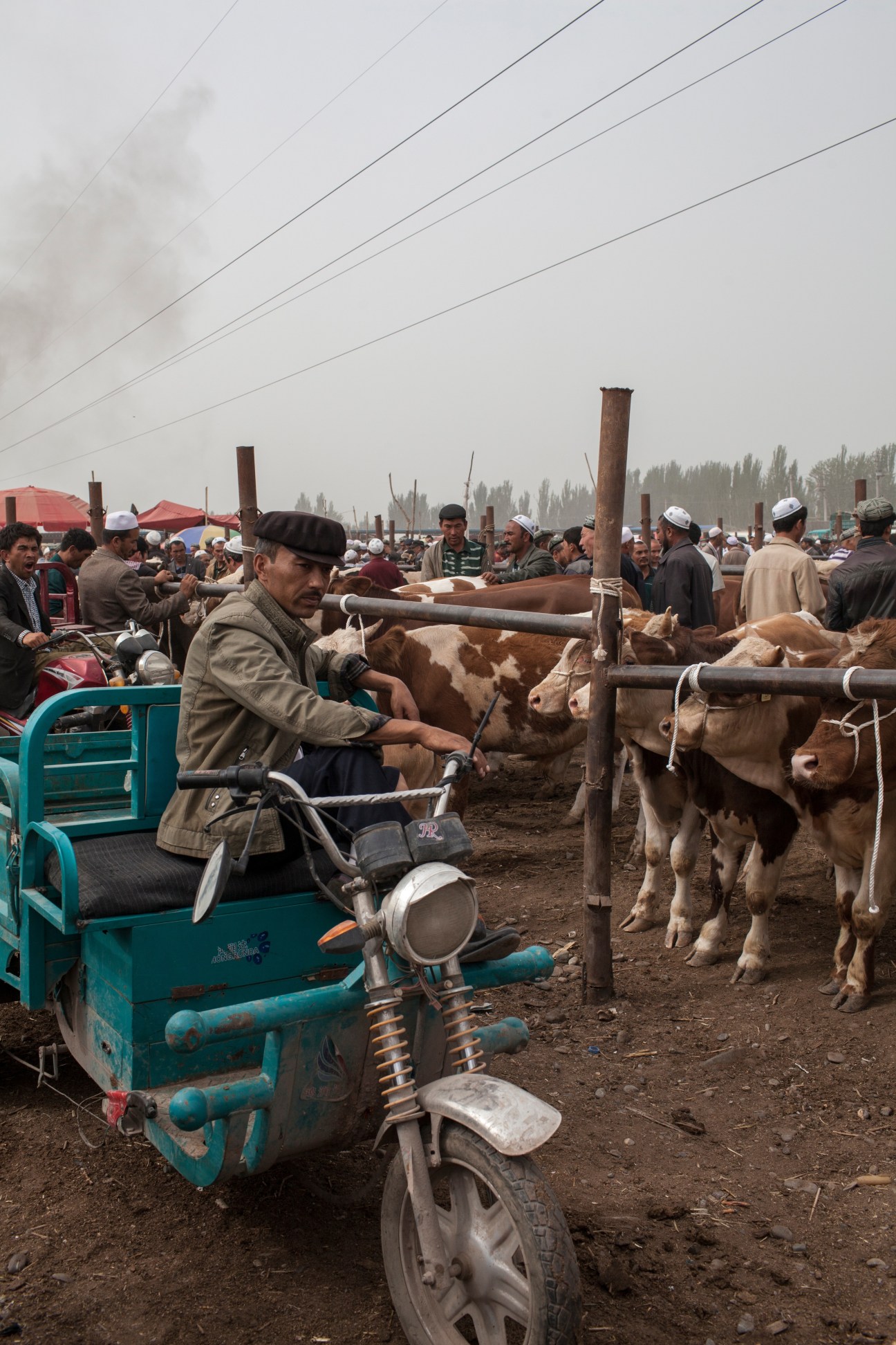 A man sits on a blue motorcycle tricycle at Kashgar Livestock Market surrounded by cattle pens and traders.