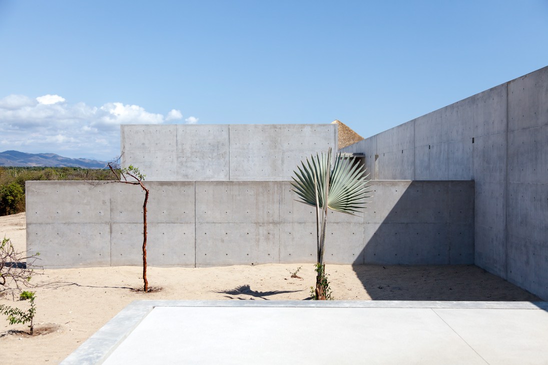 Concrete gallery exterior with palm plant and thatched roof detail under blue sky