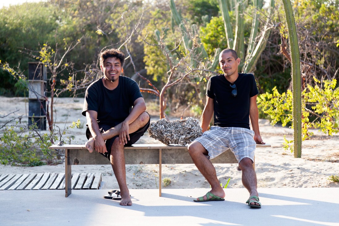 Two male artists sitting on a bench in a desert garden with cacti and vegetation behind them.