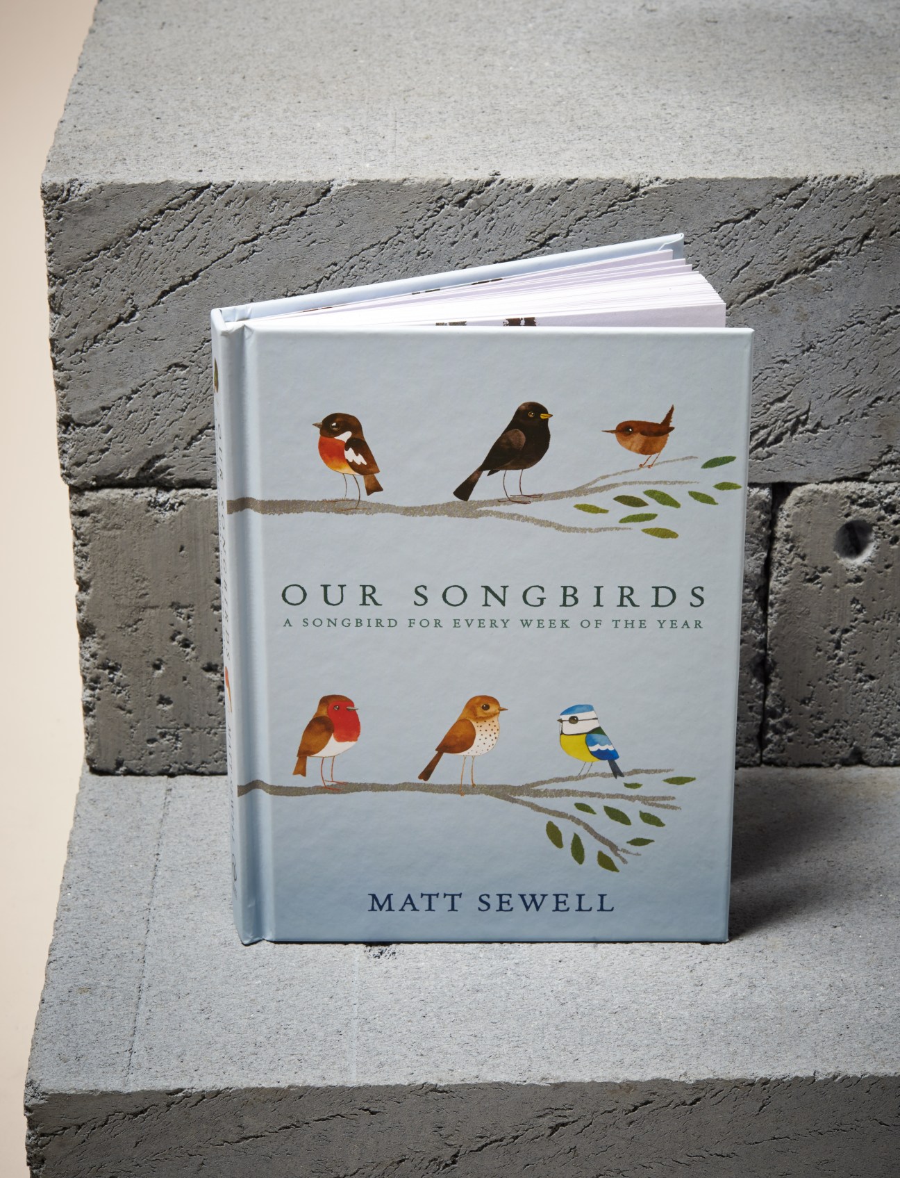 Our Songbirds book by Matt Sewell featuring illustrated birds on white cover.