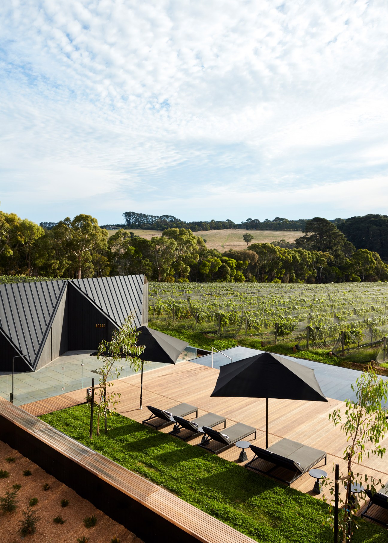The Jackalope Hotel's terrace with lounge chairs under black umbrellas overlooking vineyards and distant treeline.