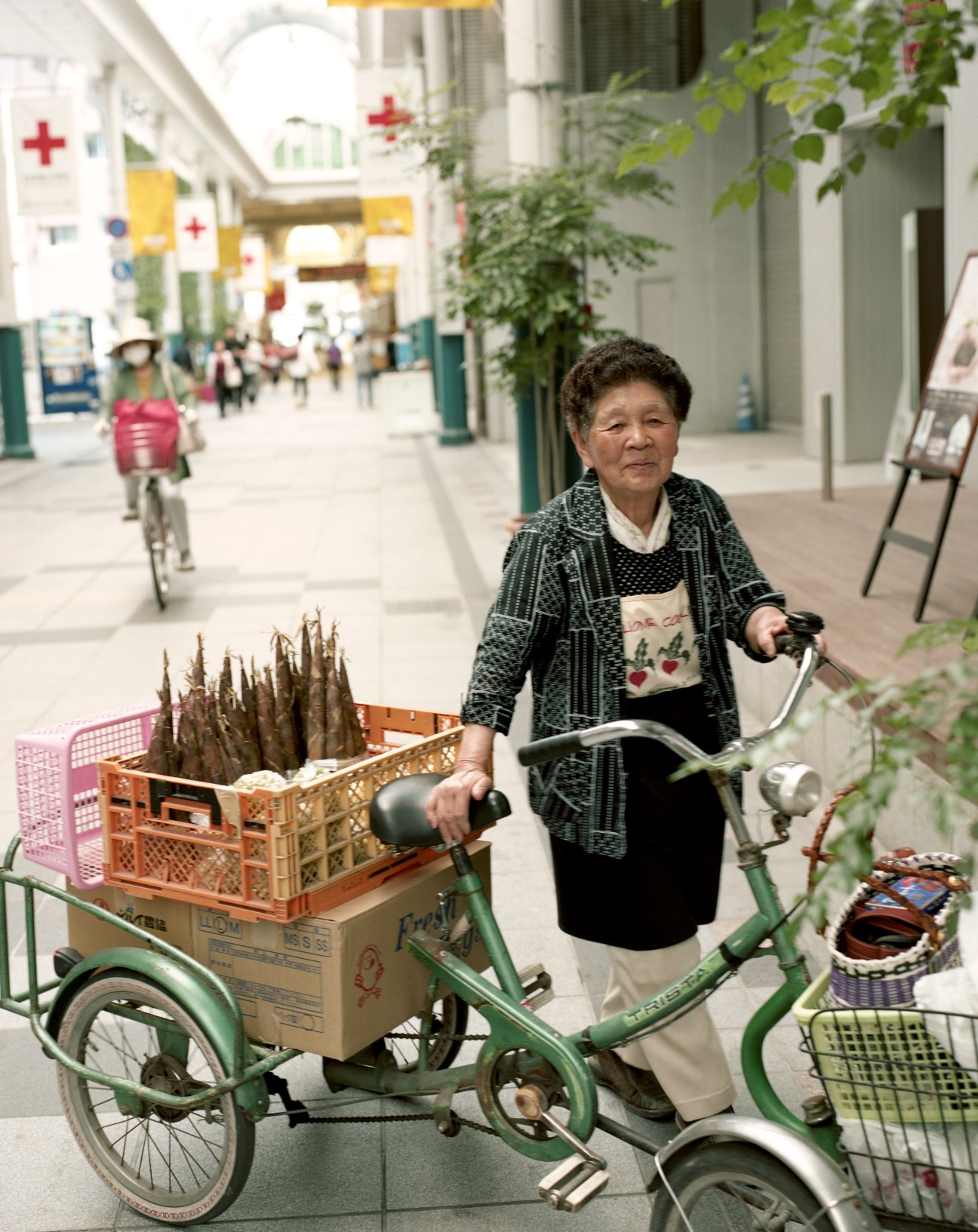 Woman selling bamboo shoots from a bicycle cart in a covered shopping street.