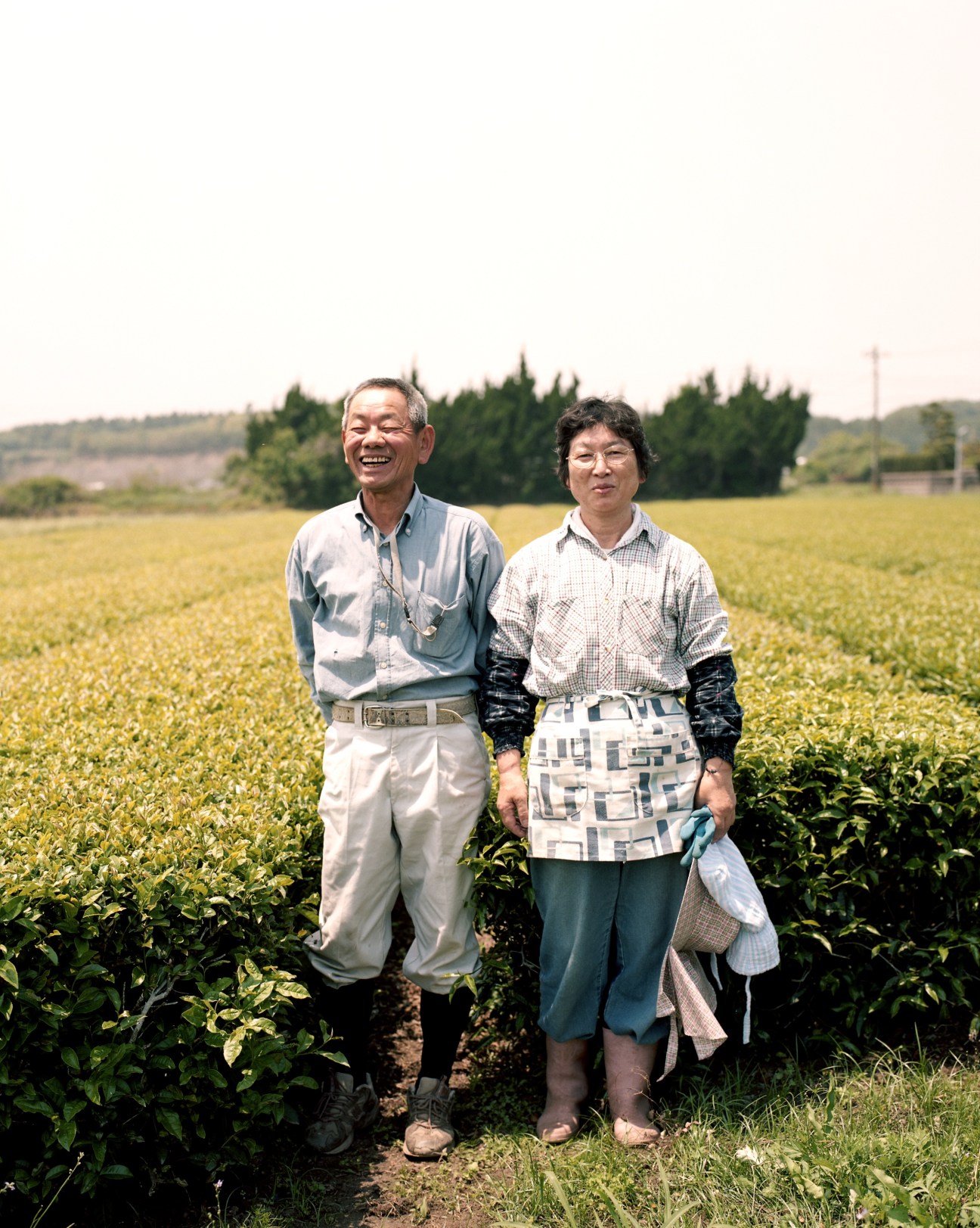 Tea farmer Sadayuki Ogata and his wife standing in their tea field in Kagoshima.