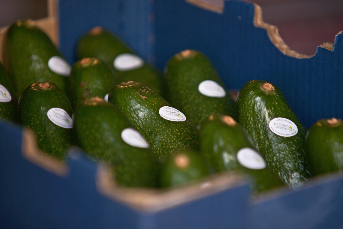 Barham Avocados with white labels in a blue wooden crate.