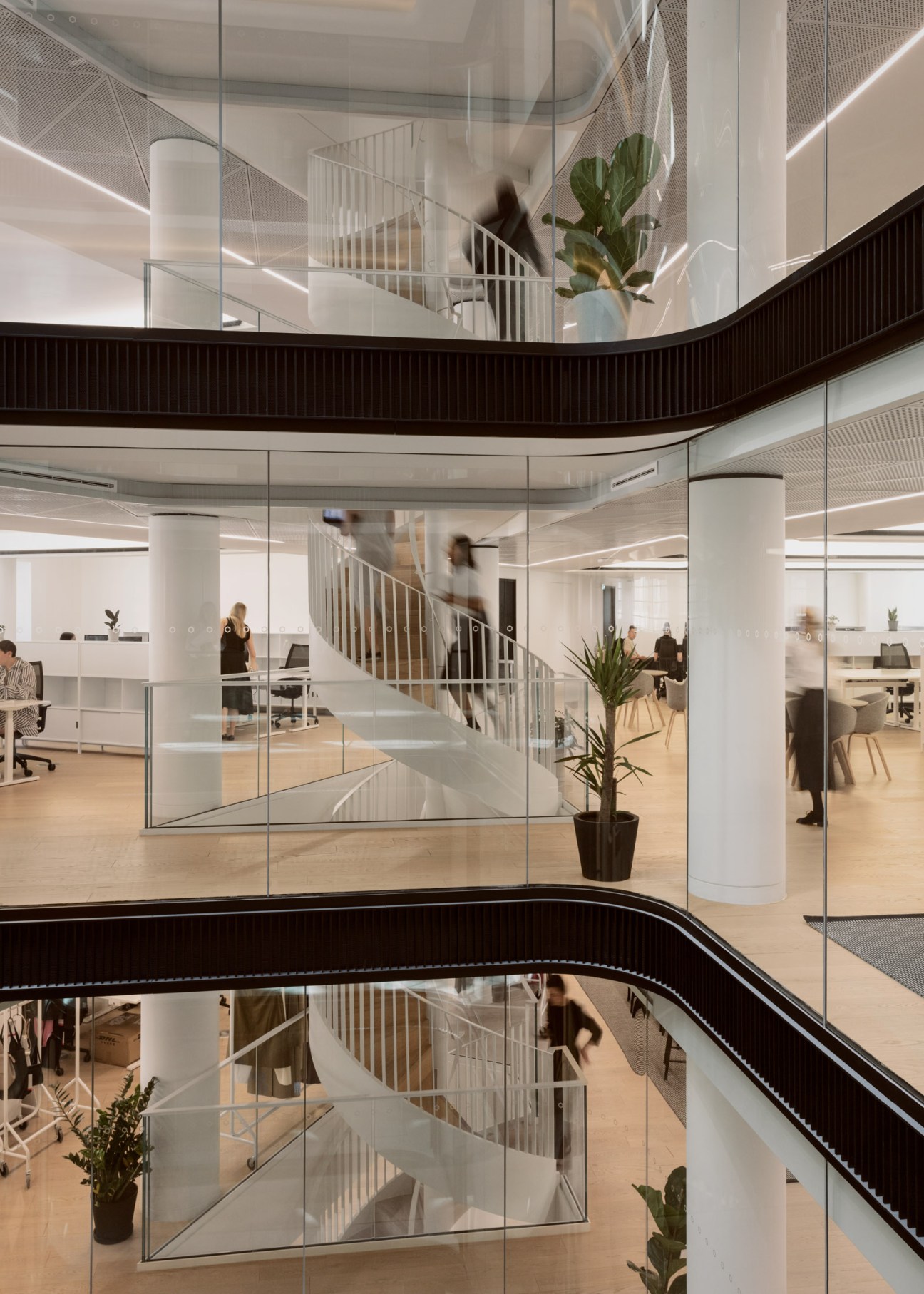 Interior view of a multi-level spiral staircase with glass panels and white railings connecting different office floors.