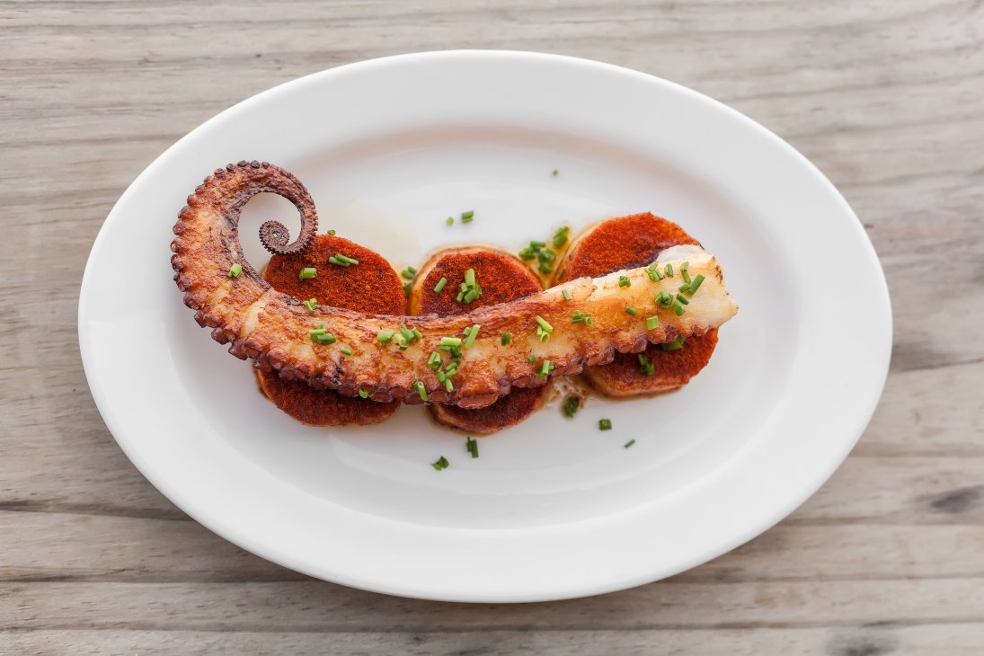 Seared octopus tentacle with potato rounds and green onion garnish on white plate.