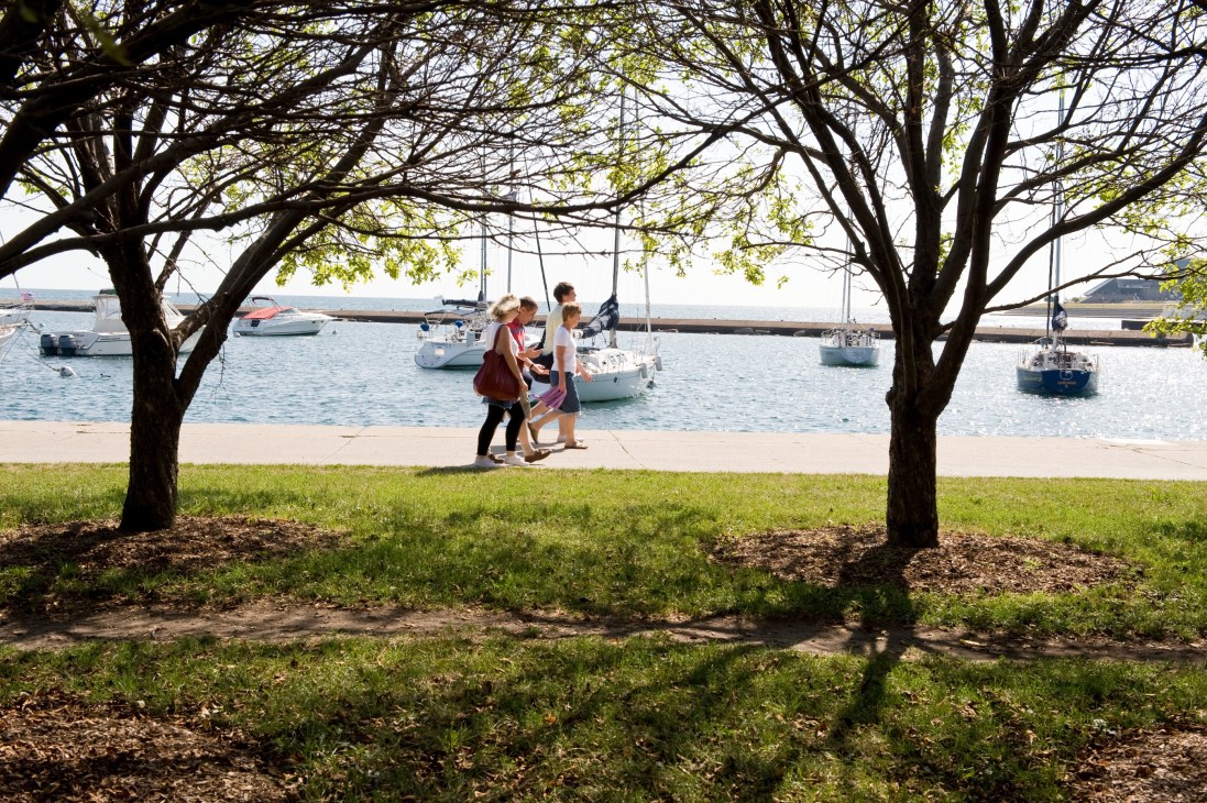 People walking along a grassy waterfront park with sailboats moored in the marina beyond.