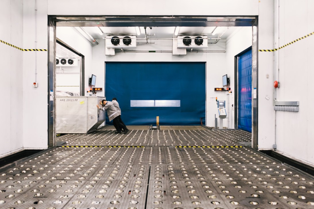 Worker in grey shirt pushes temperature-sensitive cargo into a blue-walled cold storage room at Hong Kong International Airport.