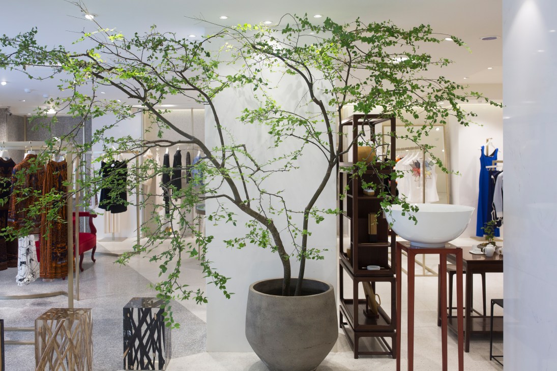 Art Haus womenswear shop interior with a large potted tree, clothing displays, and minimalist furnishings.