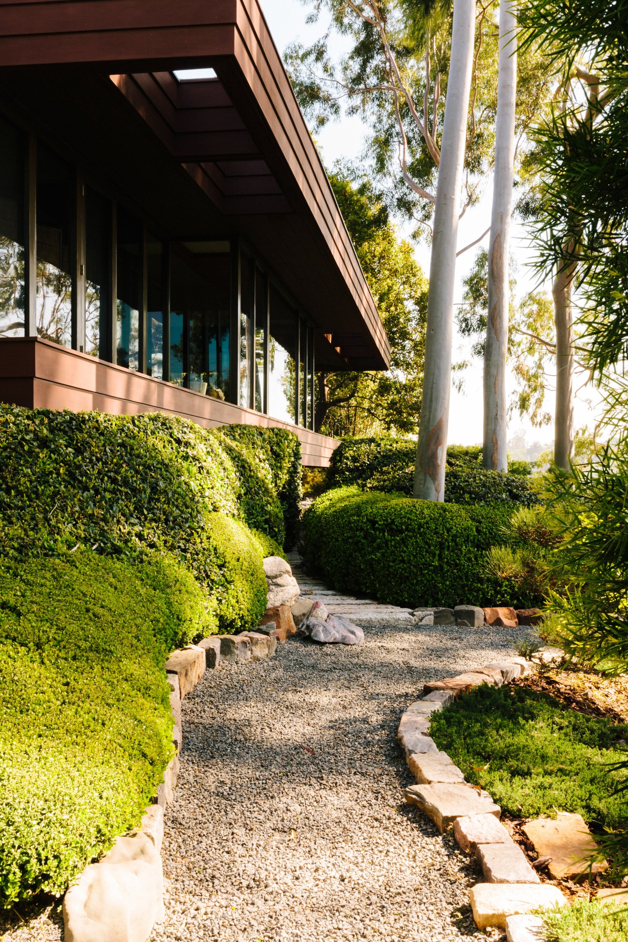 A gravel pathway lined with manicured hedges leads toward a modernist redwood-clad house with large windows.