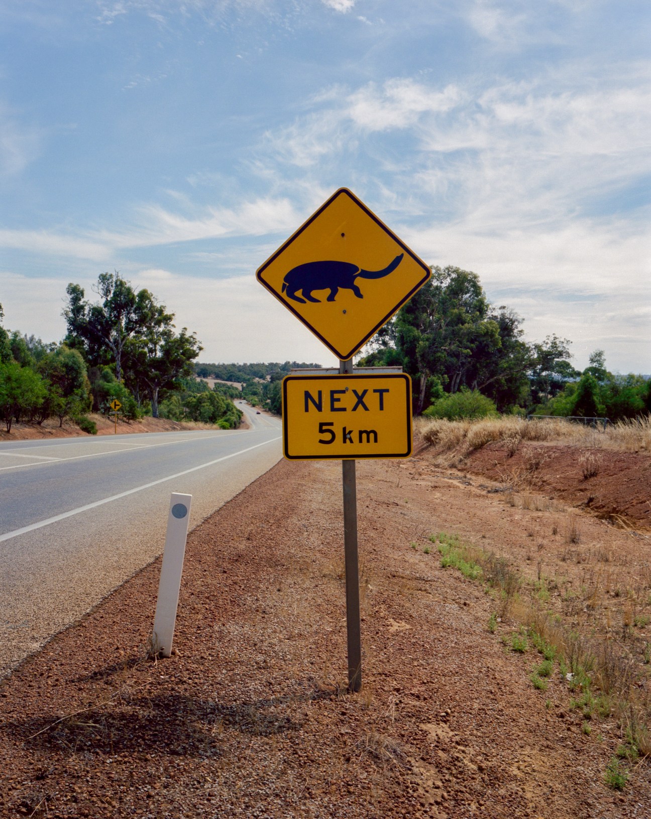 Yellow diamond-shaped Australian road sign warning of long-necked tortoise crossing for next 5km on outback highway.