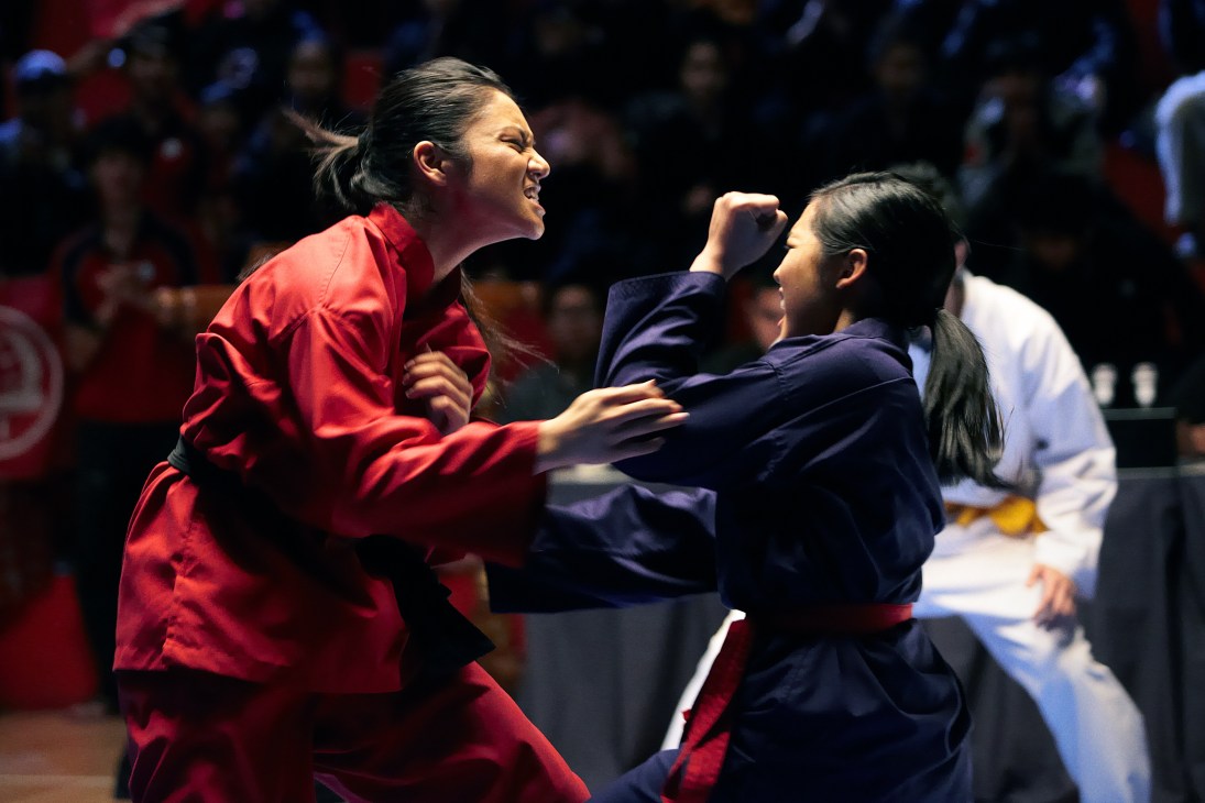 Two performers engaged in a martial arts fight scene, one in red and one in navy blue, surrounded by onlookers.