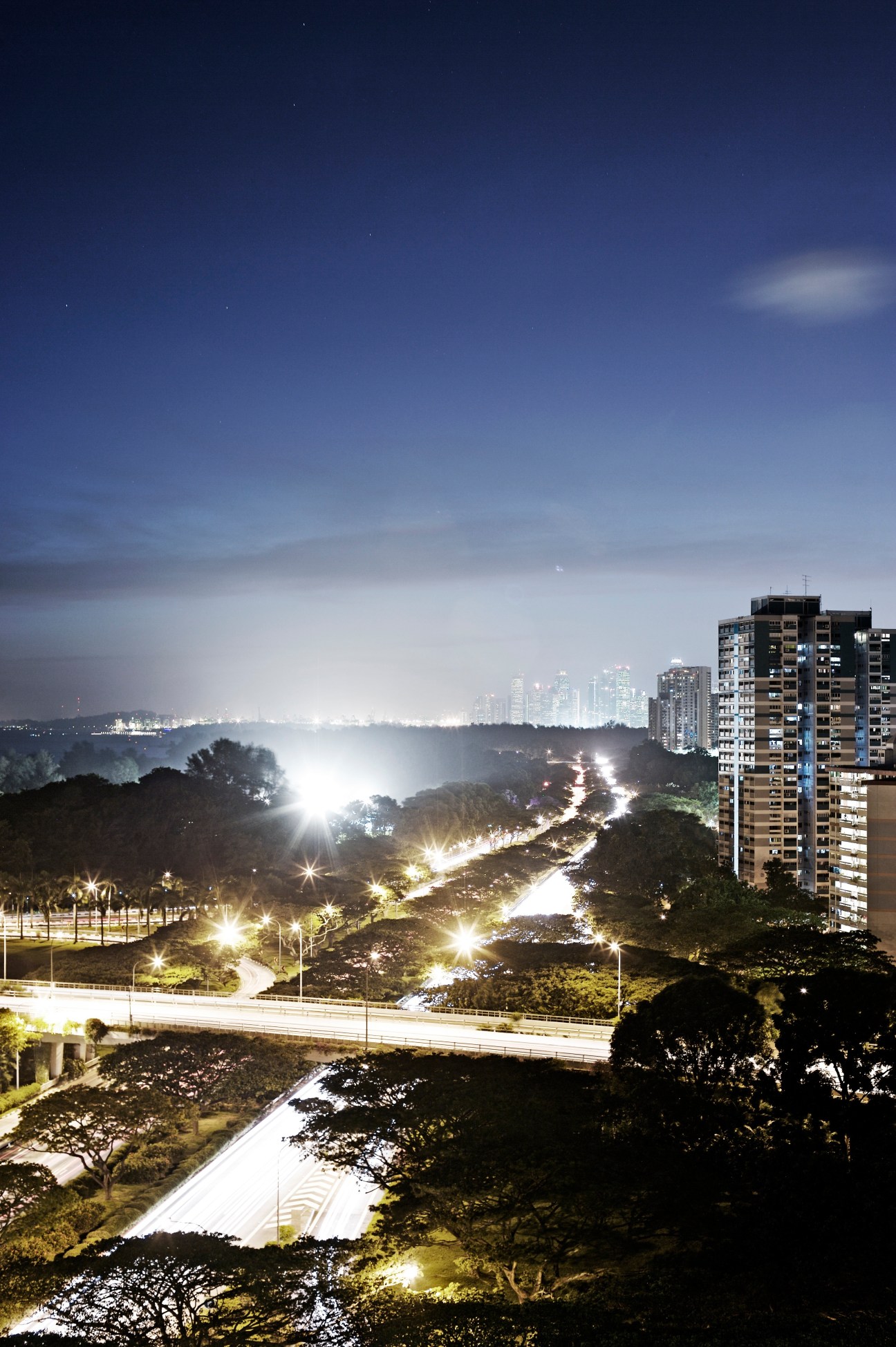 Night cityscape showing illuminated Marina Bay skyline with residential towers and landscaped green spaces in foreground.