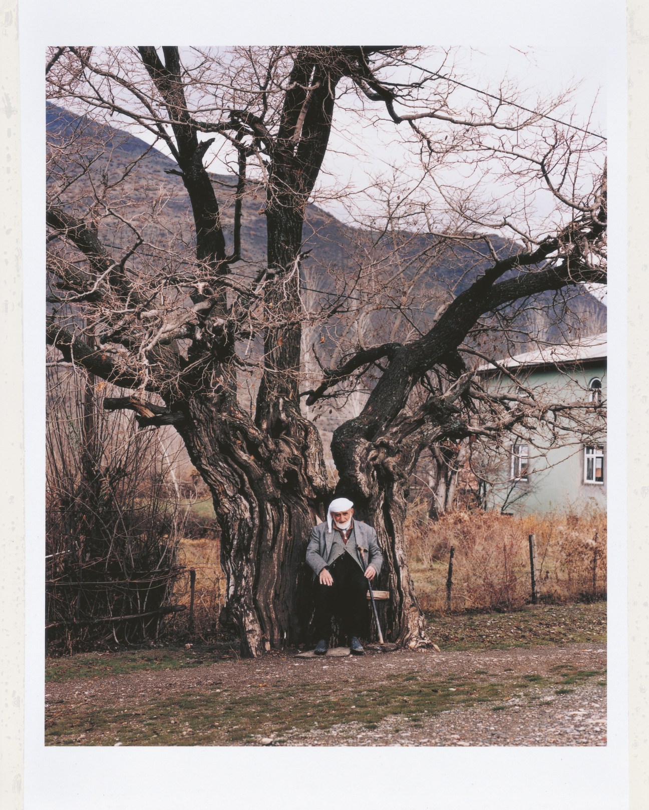 An elderly man in a white cap and dark clothing sits beneath a gnarled, bare tree with mountains visible in the background.