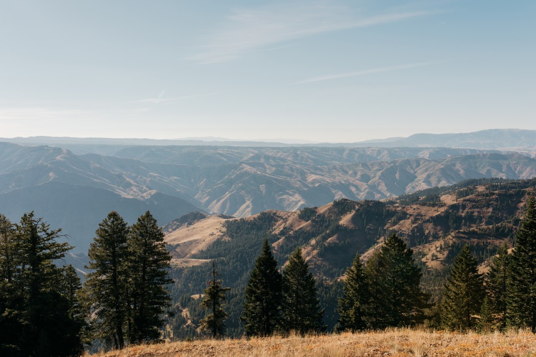 Expansive view of forested mountains and valleys in Wallowa County, Oregon landscape.