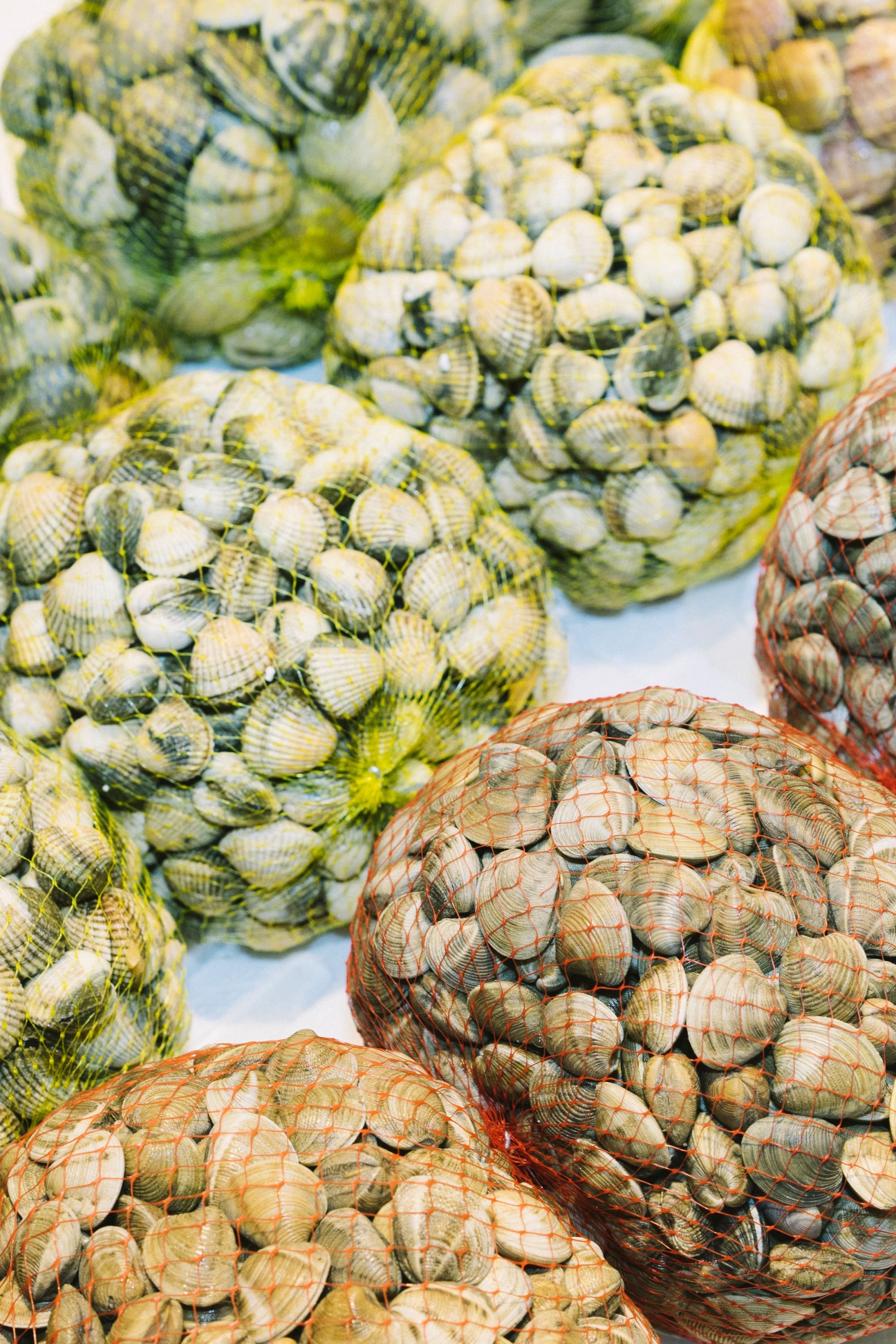 Nets of fresh clams and shellfish at Mercamadrid seafood market in Madrid.