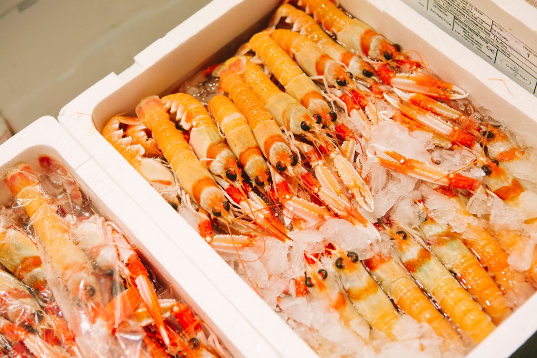 Fresh langoustines and shrimp arranged on ice in white display boxes at a seafood market stall.