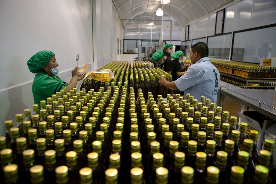 Workers in green caps inspect bottles on a conveyor line at Beneva's mezcal bottling facility.