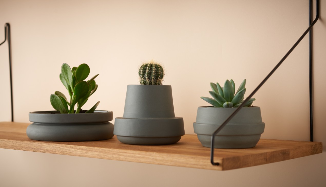 Three grey ceramic planters with plants on a wooden shelf against a beige wall.