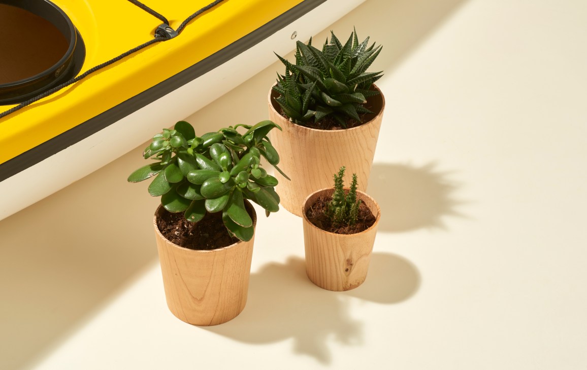 Three wooden plant pots with unvarnished cedar containing succulents and small green plants.