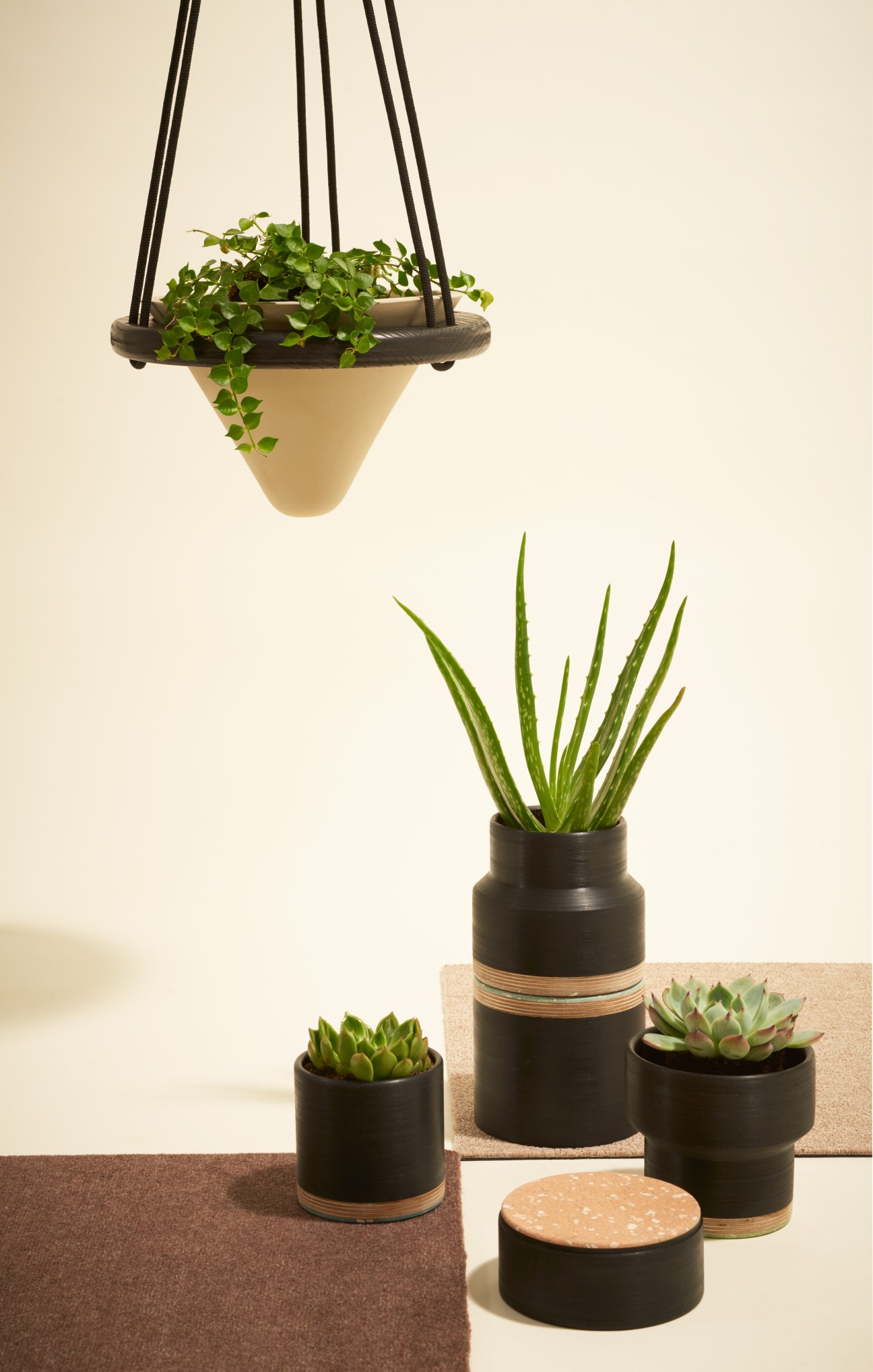 Hanging cone-shaped planter with trailing green plant and black planters with succulents below