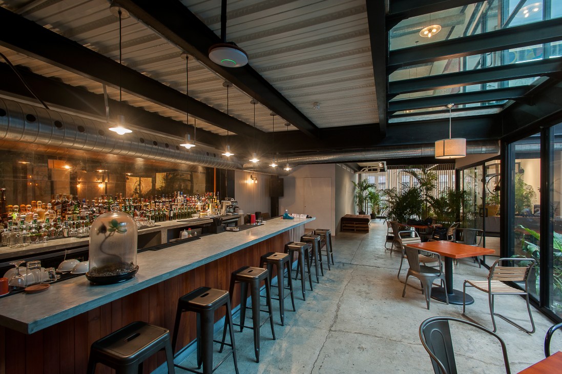 Modern bar interior with blue-topped counter, pendant lighting, and tropical plants in Casco Viejo.