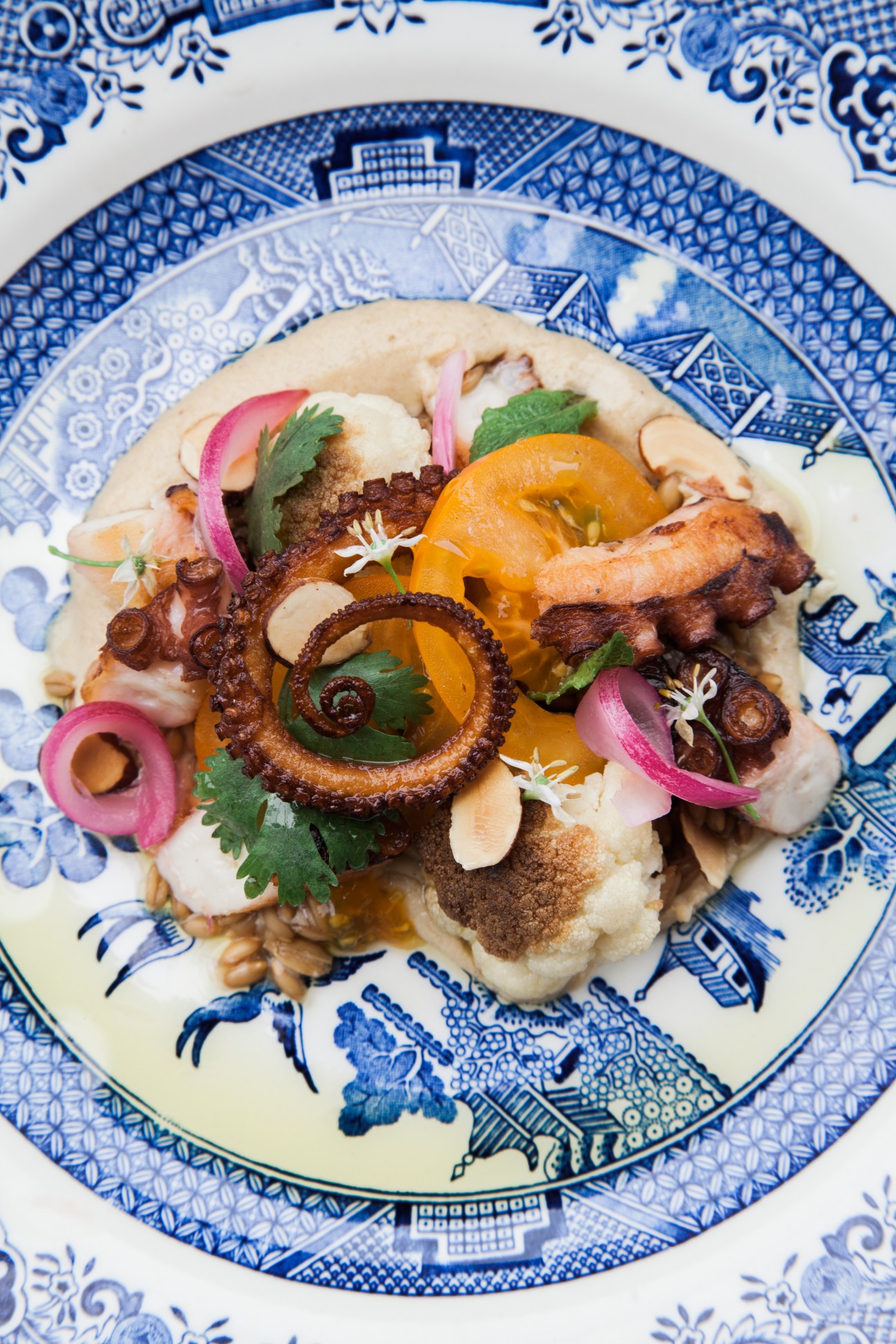 Artfully plated seafood dish with octopus, citrus and herbs on decorative blue and white china