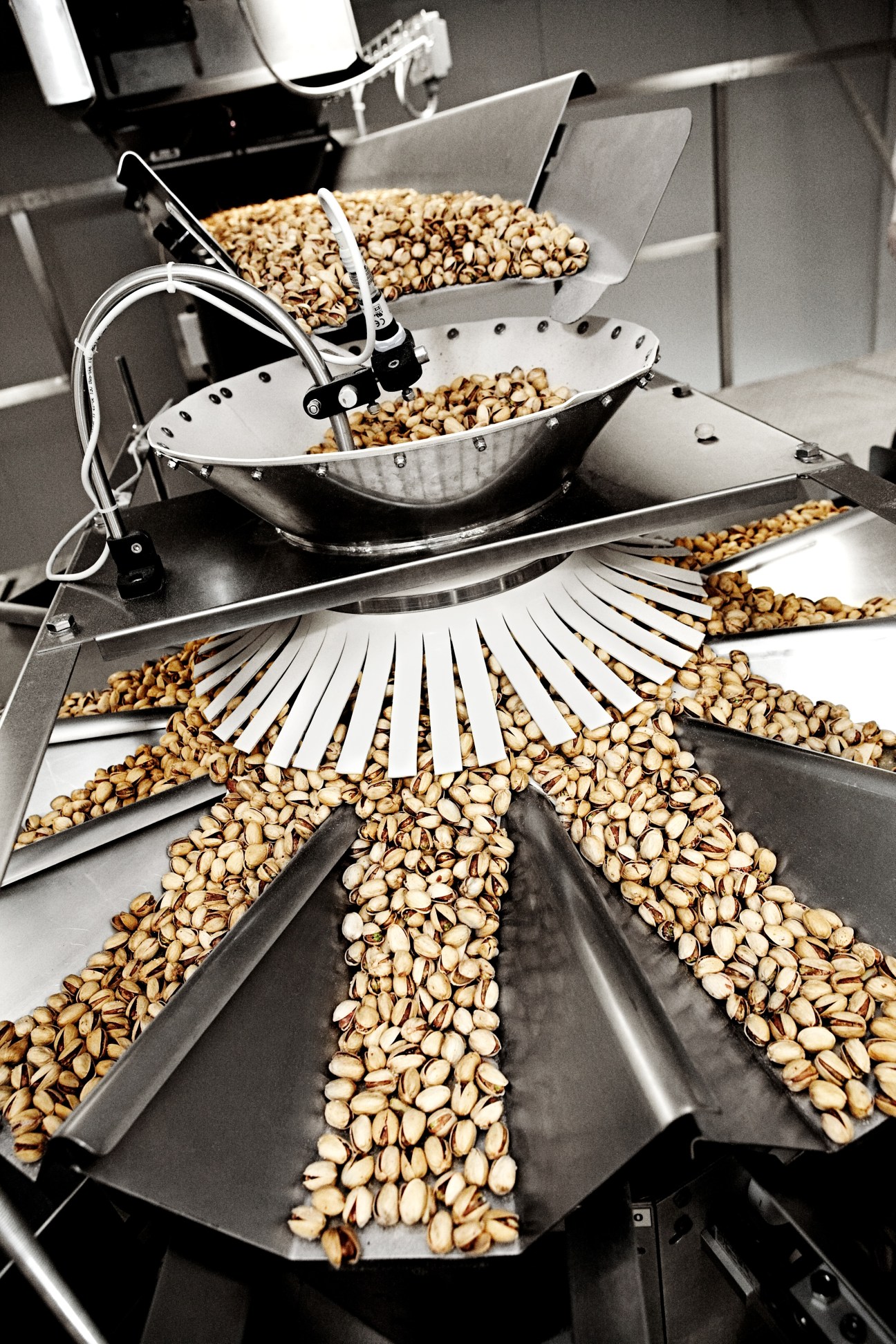 Pistachios are sorted and weighed on metal trays using industrial machinery at Al Rifai's Swedish facility.