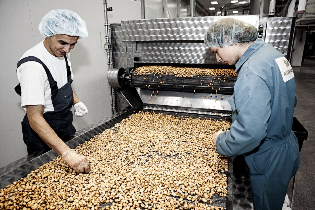 Two factory workers in hairnets inspecting and sorting nuts on a conveyor belt in an industrial facility.