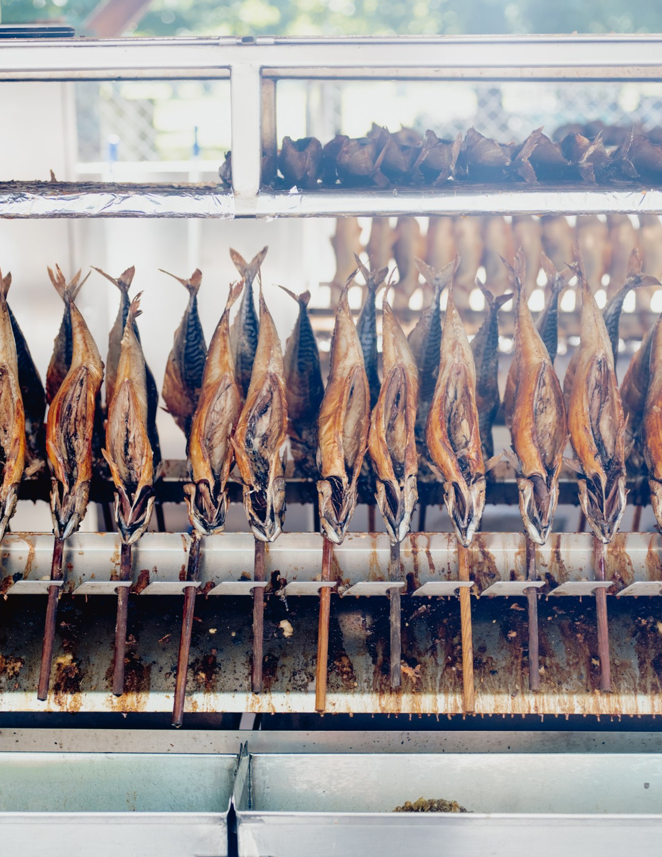 Rows of dried fish hanging on racks in a smoker or drying facility.