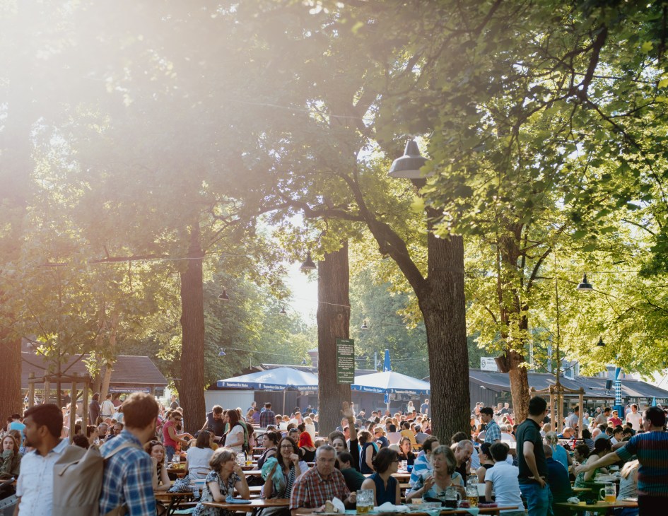 A crowded Bavarian beer garden at sunset with tall trees, long wooden tables, and diners enjoying drinks under hanging lamps.