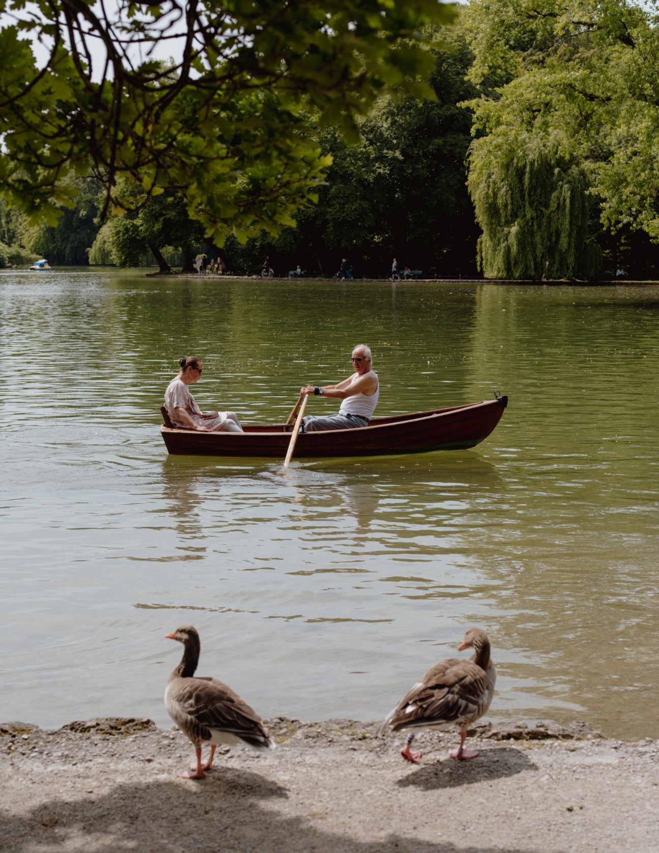 Two geese stand on a sandy beach watching a couple in a rowboat on a lake surrounded by trees.